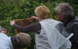 Arbeiten am Bienenstand 10