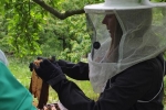 Arbeiten am Bienenstand 5
