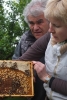 Arbeiten am Bienenstand 7