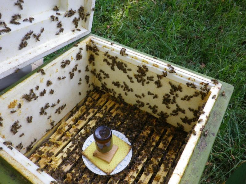 Schwammtuch Ameisensäure Dispenser zur Behandlung der Bienenvölker gegen Varroa 